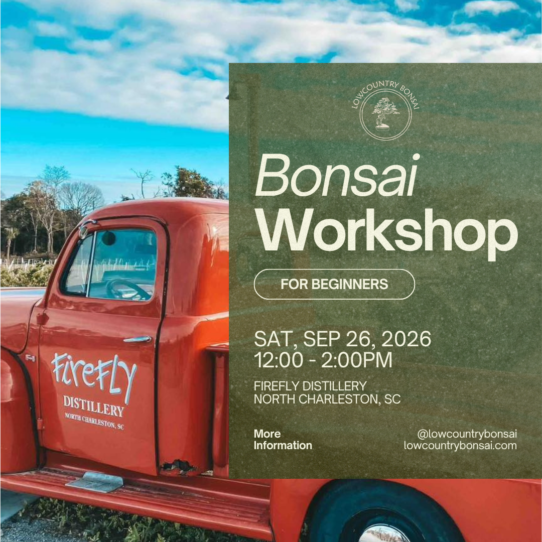 Bonsai Class & Live Music